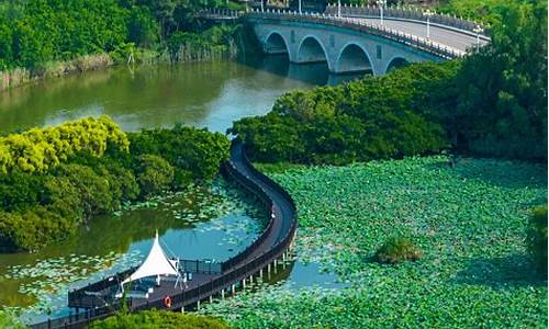 南沙湿地公园 游船_南沙湿地公园游船时间