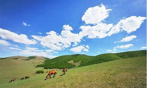 丰宁坝上草原旅游攻略图_丰宁坝上草原旅游攻略图片